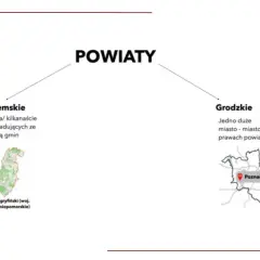 Schemat podziału powiatów: ziemskie (kilka gmin) i grodzkie (miasto na prawach powiatu). Przykład powiatu gryfińskiego.