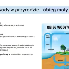 Schemat obiegu wody w przyrodzie. Woda paruje z oceanów, lądów i roślin, tworząc chmury, które przynoszą opady.