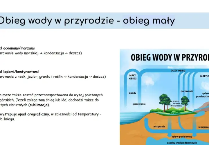 Schemat obiegu wody w przyrodzie. Woda paruje z oceanów, lądów i roślin, tworząc chmury, które przynoszą opady.