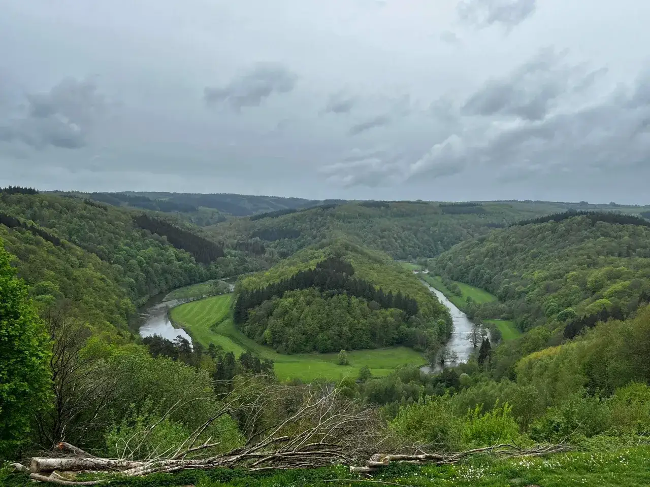 Meandrująca rzeka w zielonej dolinie Ardenów, otoczona gęstymi lasami i polami.