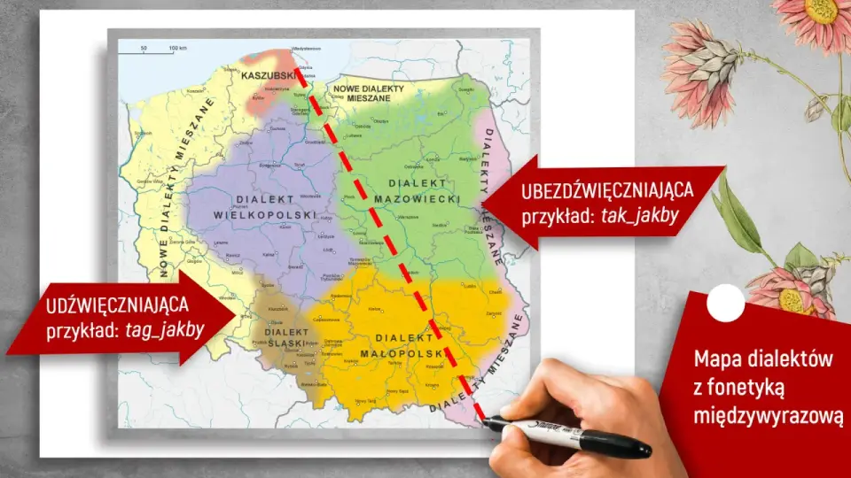 Dialekt a geografia - jak rodzą się różnice w mowie?